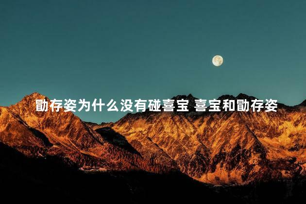 勖存姿为什么没有碰喜宝 喜宝和勖存姿睡过吗